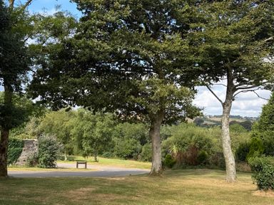 A landscape view with trees and grass at Moorland View in Dobwalls
