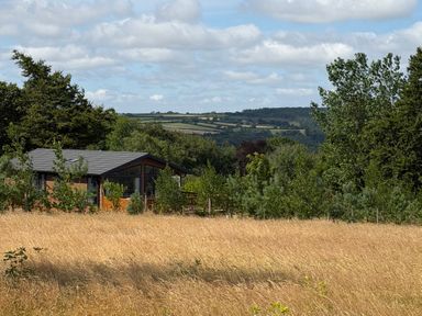 A house surrounded by grass and trees at Moorland View in Dobwalls