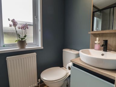A bathroom with a sink and toilet at Cedar Lodge 3 Bedrooms with hot tub Delamere