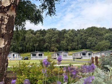 A view of cabins with a car in front at Cedar Lodge 3 Bedrooms with hot tub in Delamere