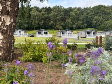 A view of holiday homes with a garden and flowers at Cedar Lodge 3 Bedrooms with hot tub in Delamere