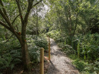A path through trees and ferns at Cedar Lodge 3 Bedrooms with hot tub in Delamere