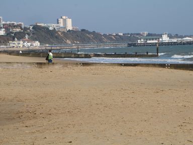 A beach with a person walking near the water at Woodlands House in Ringwood