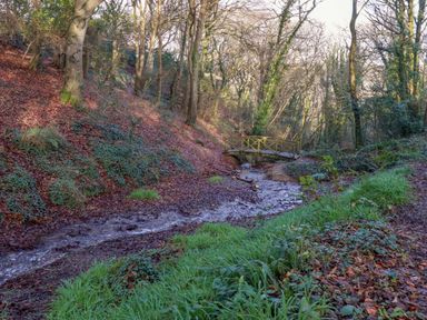 A stream with a wooden bridge in a wooded area at 114 - The Residance Redruth