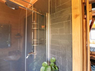 A shower area with a showerhead and a plant at Dunfell Shepherd's Hut in Appleby-In-Westmorland