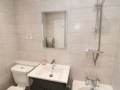 A bathroom with a toilet, sink, mirror and shower at Megstone in Chathill