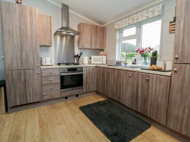 A kitchen with cabinets and appliances at Holly Lodge in Lloc near Caerwys