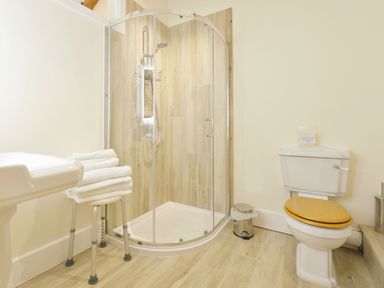 A bathroom with a shower and toilet at The Cider Barn at Home Farm Down Thomas near Wembury