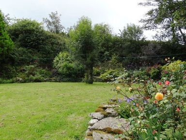 A garden with grass and various flowers at The Cider Barn at Home Farm Down Thomas near Wembury