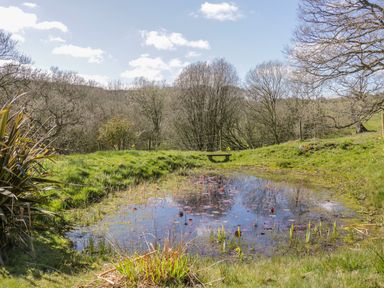 A small pond surrounded by grass and trees under a blue sky at Honey Bee Cottage in Staintondale