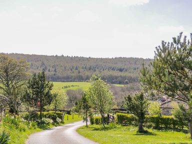 A winding road with trees and greenery on both sides with forested hills in the background at Honey Bee Cottage in Staintondale