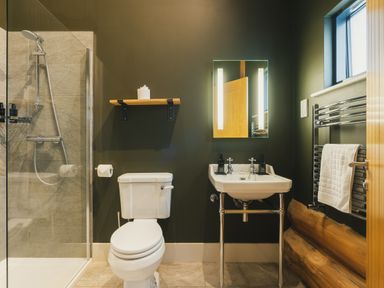 A bathroom with a shower, sink, and toilet at Bears Den in Addingham