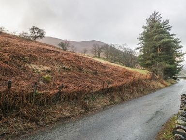 A road with grass and trees alongside in Keswick