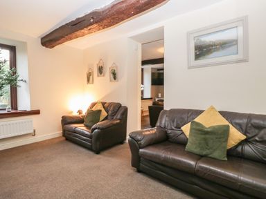 A living room with sofas and a plant at Birkbank Farm Cockermouth