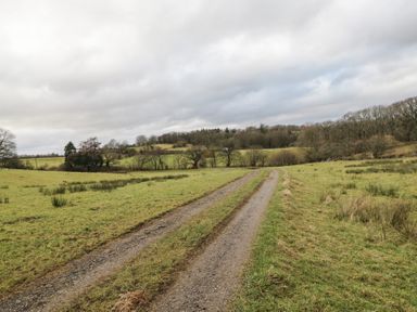 A gravel road winding through a grassy landscape at Birkbank Farm in Cockermouth