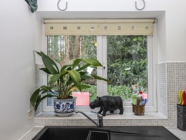 A kitchen with a plant and a figurine on the windowsill at The Old Telephone Exchange in Exeter