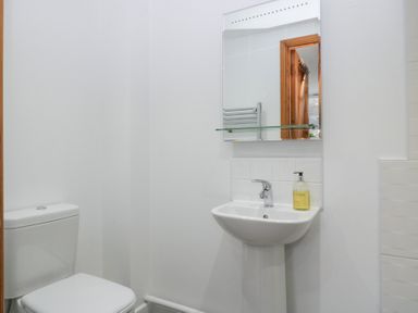 A bathroom with a toilet and sink at Horse Gin in Lydney