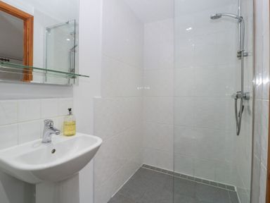 A bathroom with a shower and sink at Horse Gin in Lydney