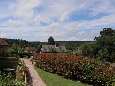 A garden with houses and a walkway at Horse Gin in Parkend