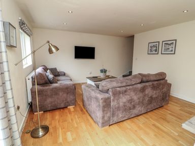 A living room with a television, sofa, and lamp at James Ville Marina Lodge 14 in Brigg
