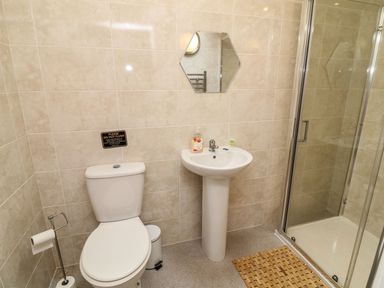 A bathroom with a toilet, sink, and shower at James Ville Marina Lodge 14 in Brigg