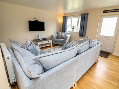 A living room with a sofa and television at James Ville Marina Lodge 21 in Brigg