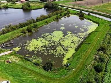 A pond with green vegetation surrounded by grass and a pathway at James Ville Marina Lodge 21, Brigg