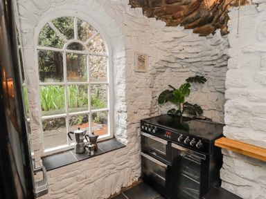 A kitchen with a window, oven and plant at The Secret Garden in Narberth