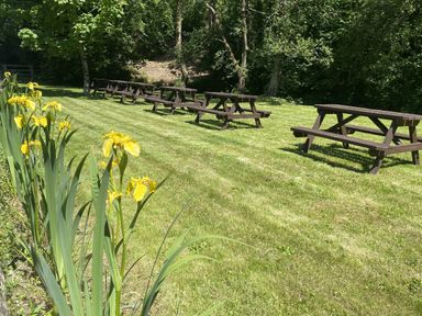 A garden with picnic tables and yellow flowers at Picton House near St Clears