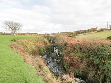 A stream running through a grassy area with a tree and a house in the distance at Willow's Way in Stranraer