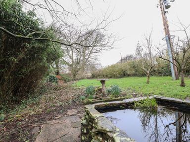 A garden with a pond and bird bath at The Lodge House Dolphinholme near Galgate