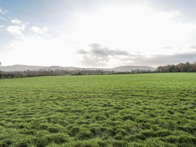 A field with grass and hills in the background at Honeysuckle Hut, Potto Grange Farm Northallerton