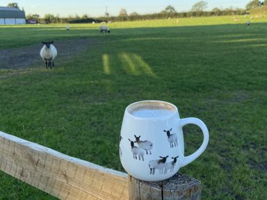 A cup on a fence with sheep in a field at The Suffolk Hut Lower Peover Cheshire