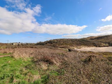 A beach with grass and bushes at 82 Manorbier Park in Manorbier