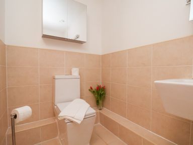 A bathroom with a toilet, mirror, and sink at One Union Mill - garden apartment in Whitby