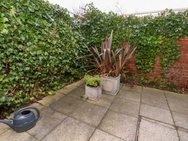 A garden area with potted plants and a watering can at One Union Mill - garden apartment in Whitby