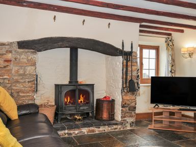 A living room with a fireplace and television at Little Blagdon in Beaworthy