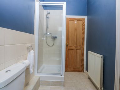 A bathroom with a shower and toilet at Inglewood Bach in Conwy