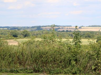 A view of fields and trees at Gardeners Cottage in Chipping Norton
