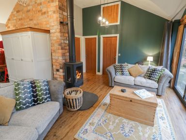 A living room with a stove and sofa at Otter's Rest in Droitwich