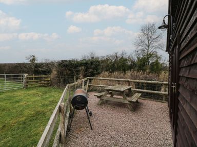 An outdoor area with a picnic table and a barbecue grill at The Barn on The Lagoon Droitwich