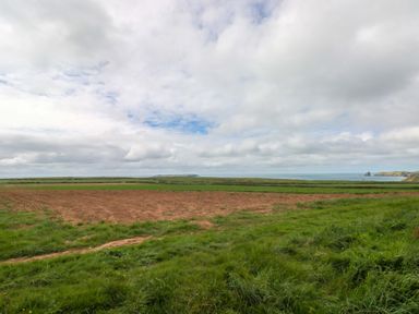 A field with grass and sea in the distance at Beacon House in Marloes near Little Haven