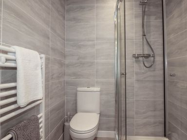 A bathroom with a shower and toilet at Creek Lodge in Chacewater