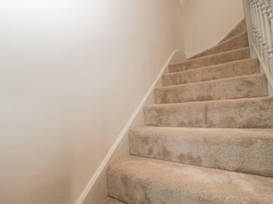 A staircase with carpet and a handrail at Paddock View in Stow-On-The-Wold