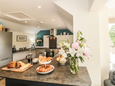 A kitchen with a counter and various food items at Ammerham Farm Cottage in Ammerham near Winsham