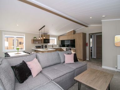 A living room with a sofa and kitchen area at Tulip in Eardisland