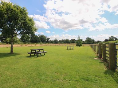 A grassy area with picnic tables and trees at Poppy in Eardisland