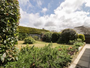 A garden with grass and hedges at Applestore in Wadebridge