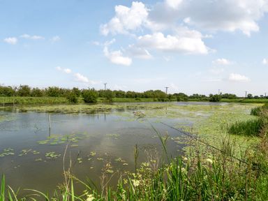 A pond with lilypads and grass at Pumpkin Lodge Near Brigg
