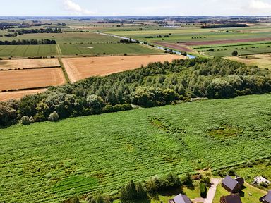 An aerial view of fields and trees near homes at Pumpkin Lodge Near Brigg